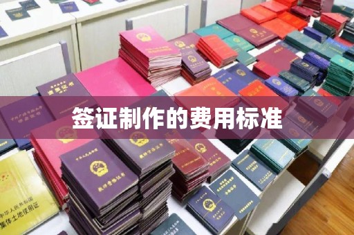 高安签证制作的费用标准