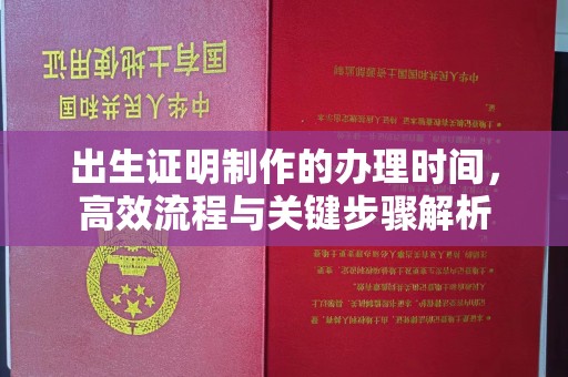 高安出生证明制作的办理时间，高效流程与关键步骤解析