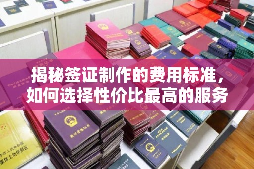 高安揭秘签证制作的费用标准，如何选择性价比最高的服务？