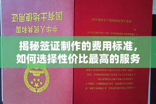 高安揭秘签证制作的费用标准，如何选择性价比最高的服务？
