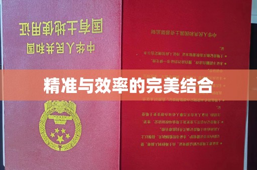 高安精准与效率的完美结合